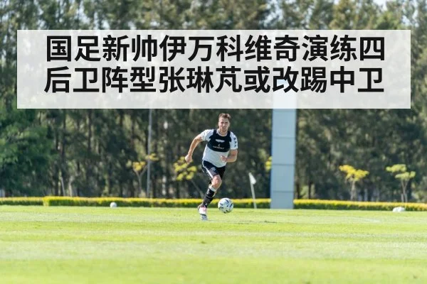 国足新帅伊万科维奇演练四后卫阵型张琳芃或改踢中卫
